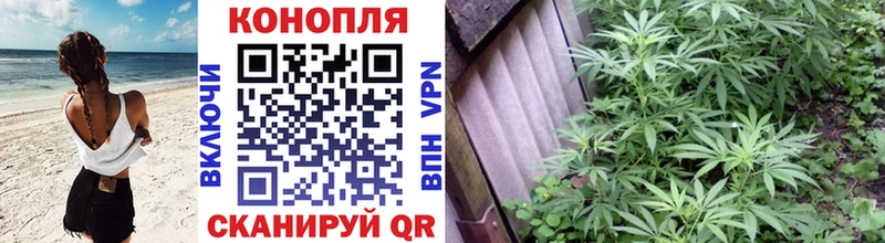 Шишки марихуана сатива Мамоново